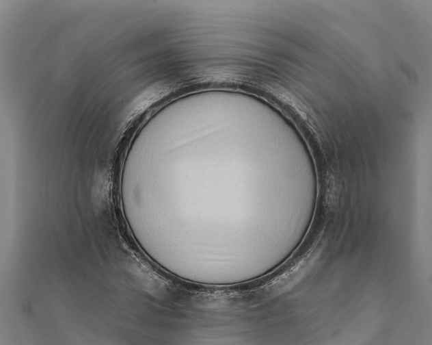 X0000111600922200908131359