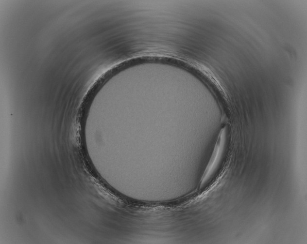 X0000111600926200908131359