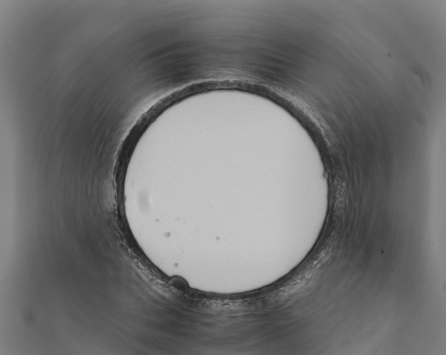 X0000111600927200908131359