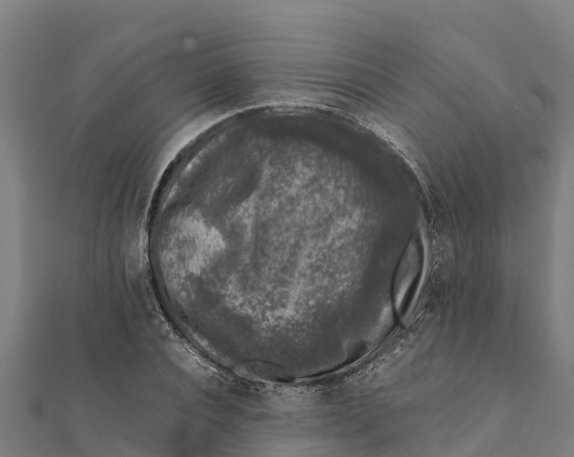 X0000111600928200908131359