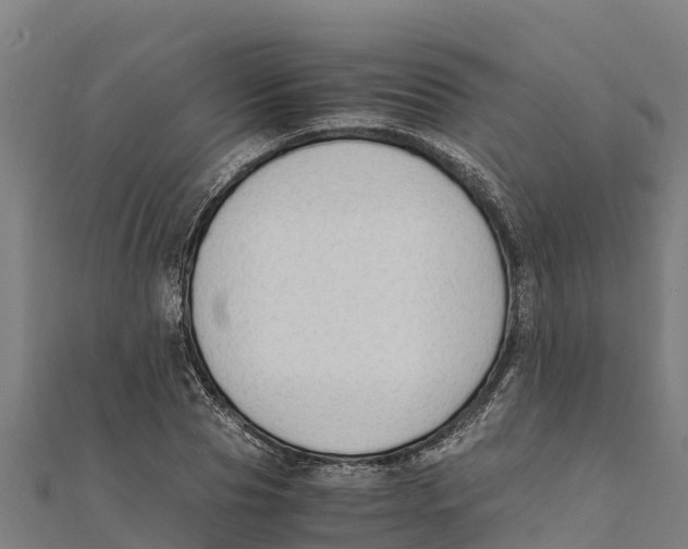 X0000111600929200908131400