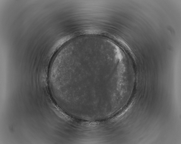 X0000111600930200908131400