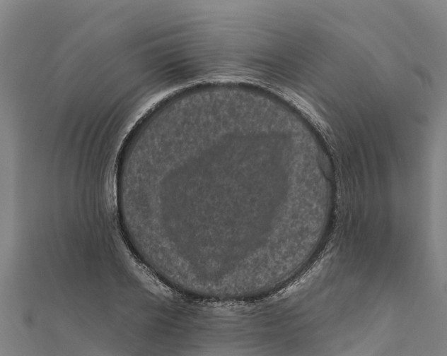 X0000111600934200908131400