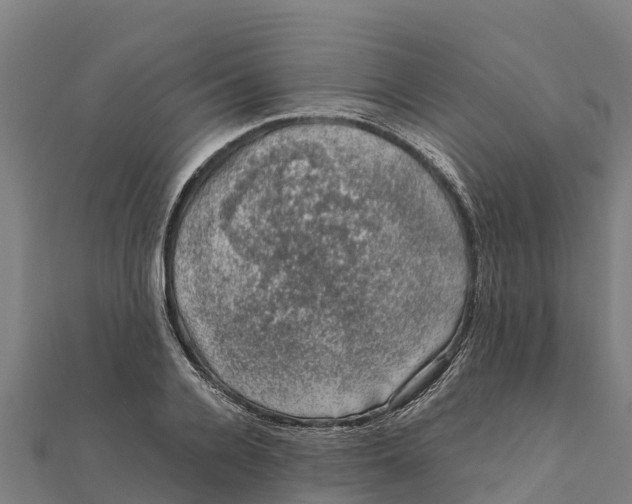 X0000111600936200908131400