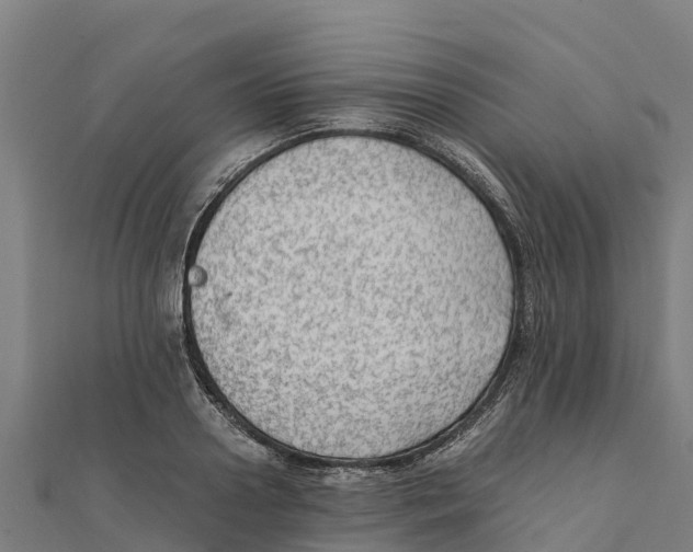 X0000111600938200908131400