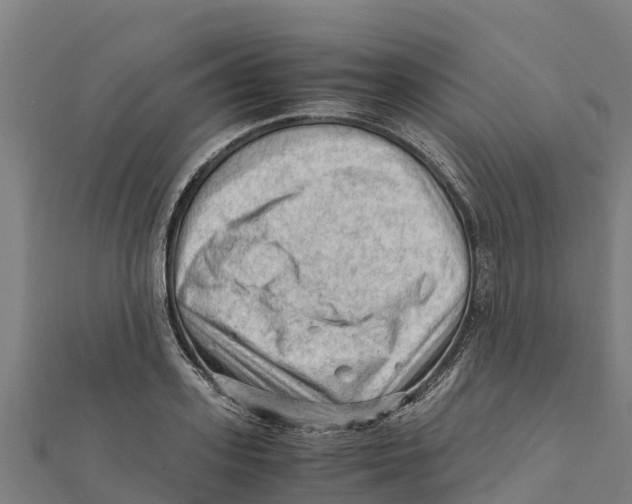 X0000111600939200908131400