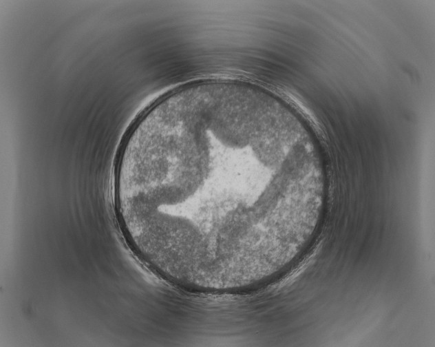 X0000111600940200908131400