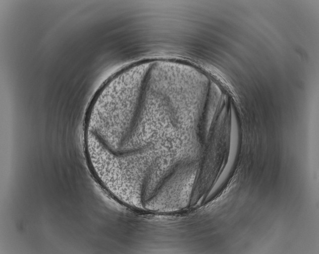 X0000111600942200908131400