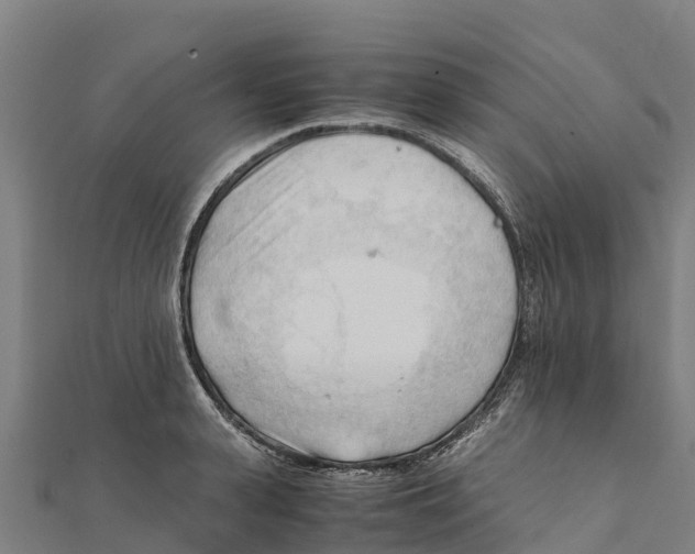 X0000111600943200908131400