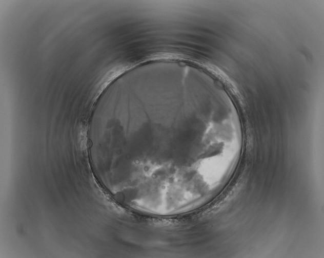 X0000111600945200908131400