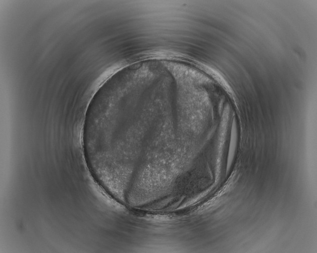 X0000111600946200908131400