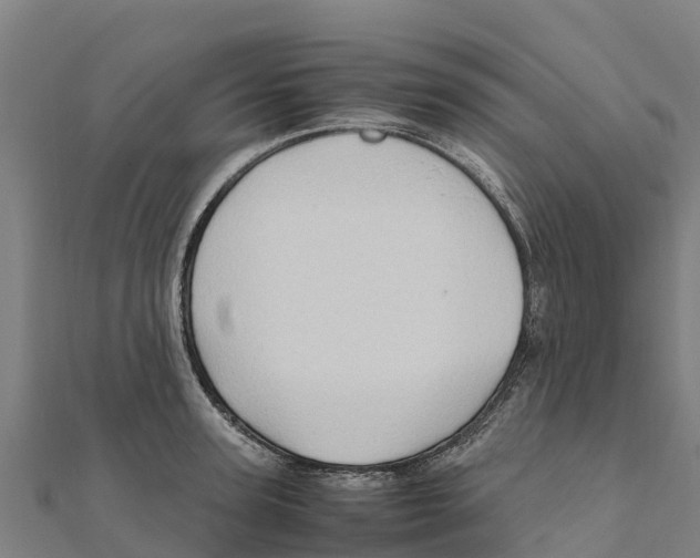 X0000111600947200908131400