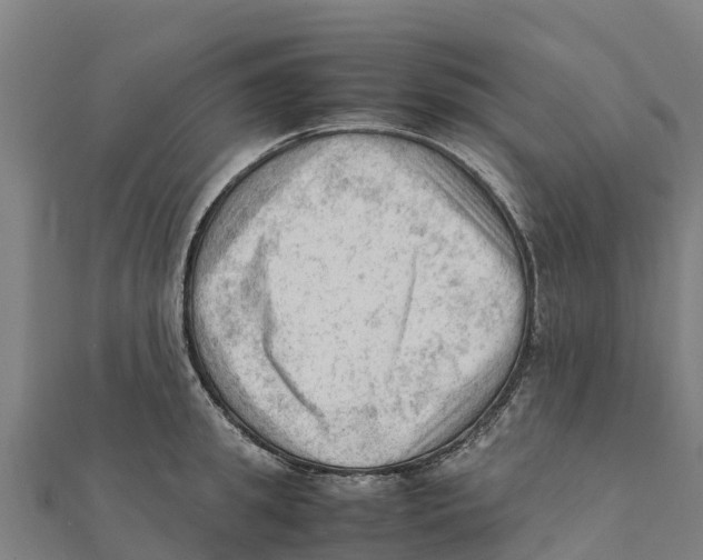 X0000111600949200908131400