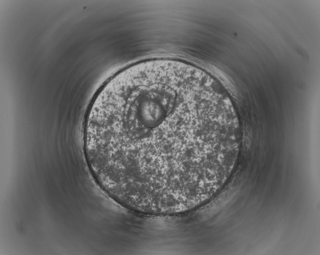 X0000111600950200908131400