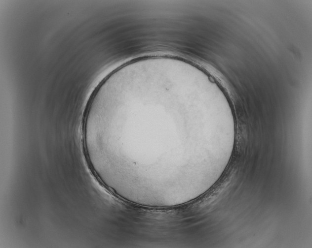X0000111600951200908131400