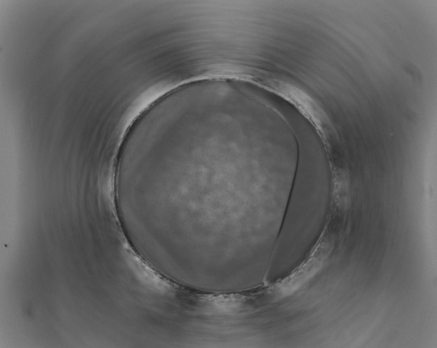 X0000111600952200908131400