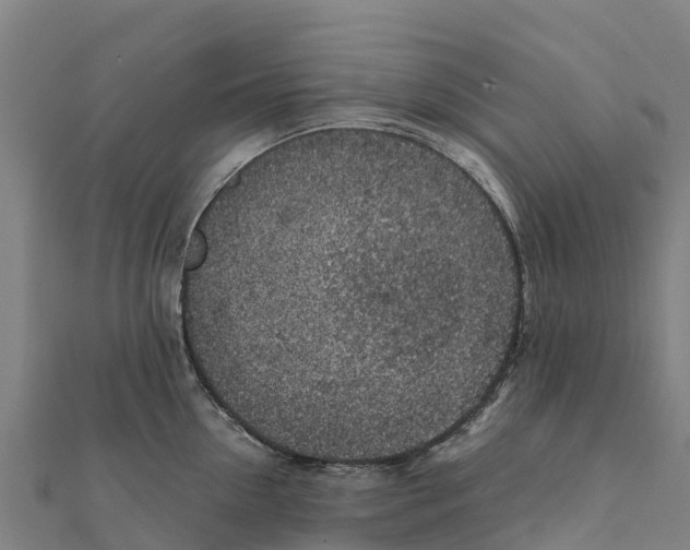 X0000111600954200908131400