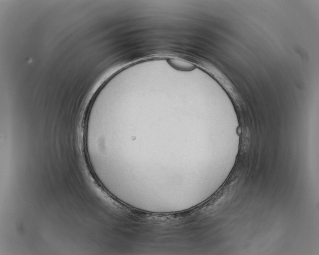 X0000111600955200908131400