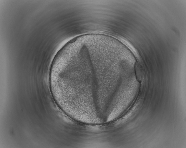 X0000111600956200908131400