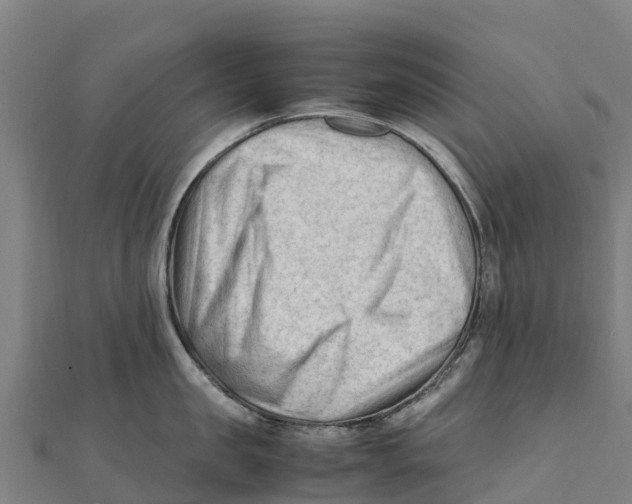 X0000111600957200908131400