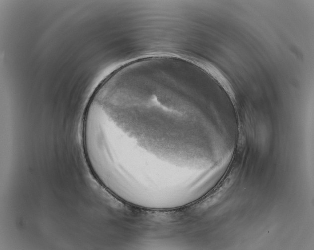 X0000111600958200908131400
