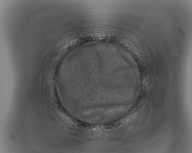 X0000111600961200908131359