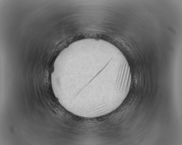 X0000111600964200908131359