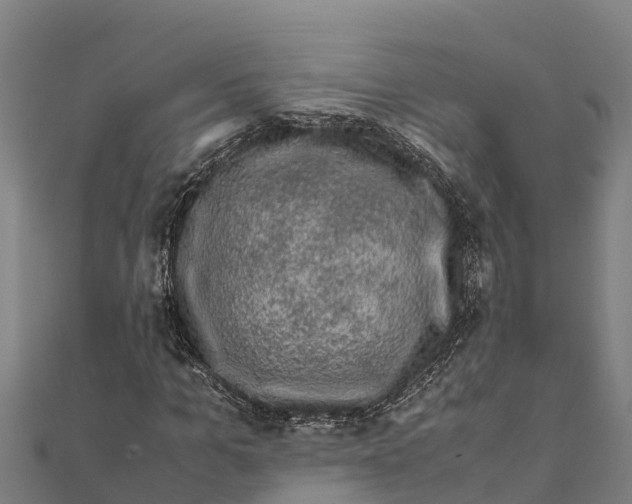 X0000111600965200908131359