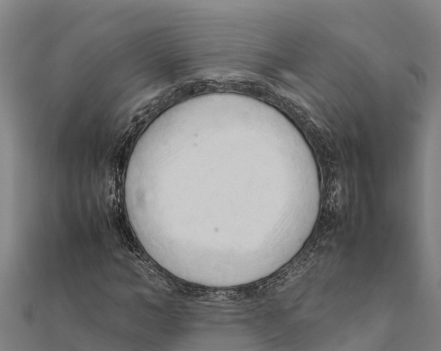 X0000111600966200908131359