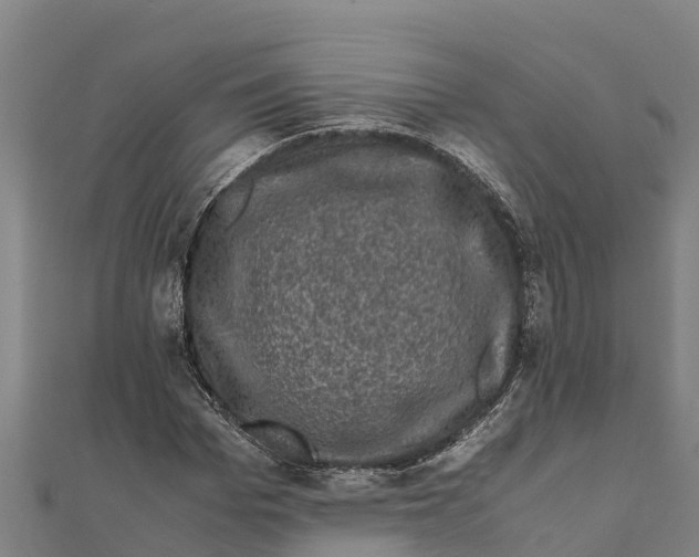 X0000111600969200908131359