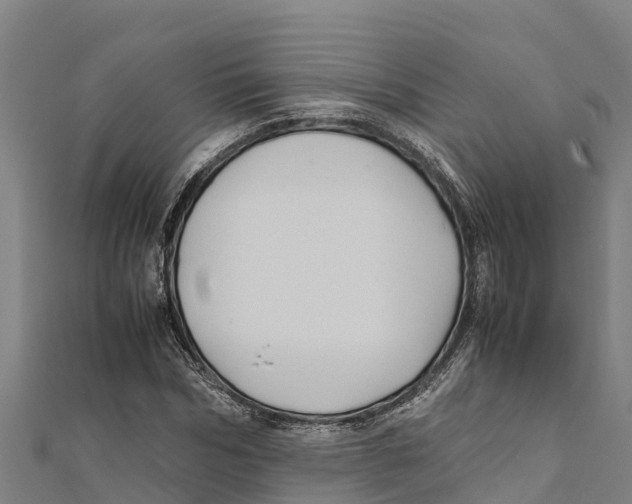 X0000111600970200908131359
