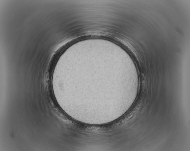X0000111600971200908131359