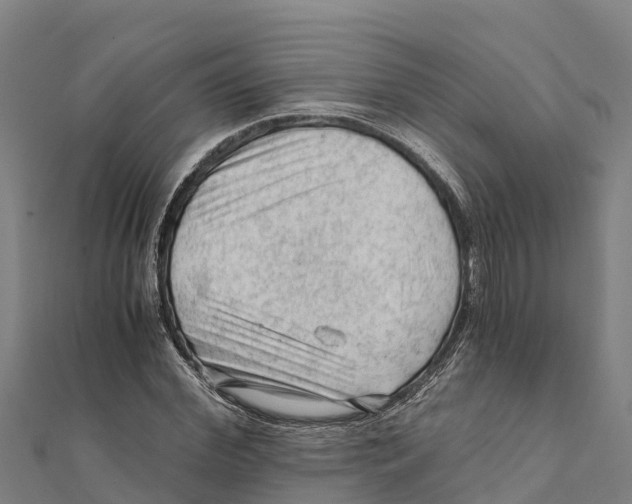 X0000111600972200908131359