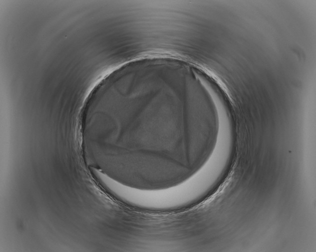 X0000111600973200908131359