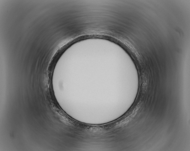 X0000111600974200908131359