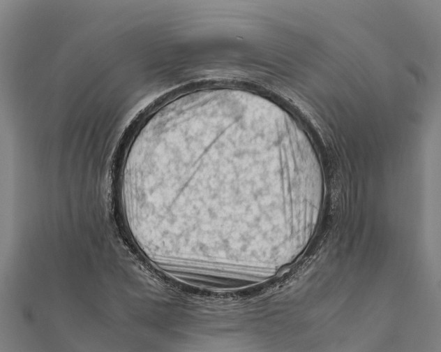 X0000111600975200908131359