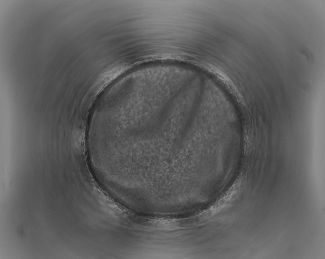 X0000111600977200908131359