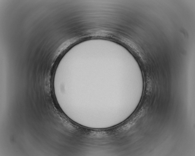 X0000111600978200908131359