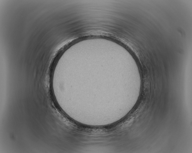 X0000111600979200908131359