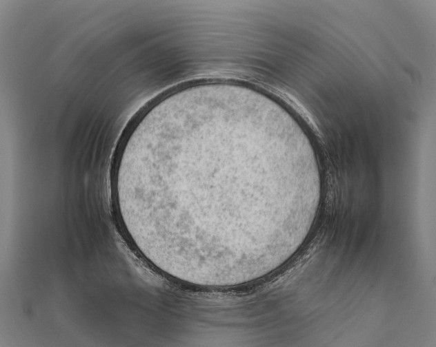 X0000111600980200908131359