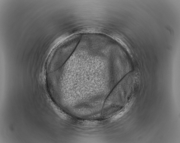 X0000111600981200908131359