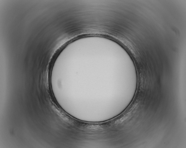 X0000111600982200908131359