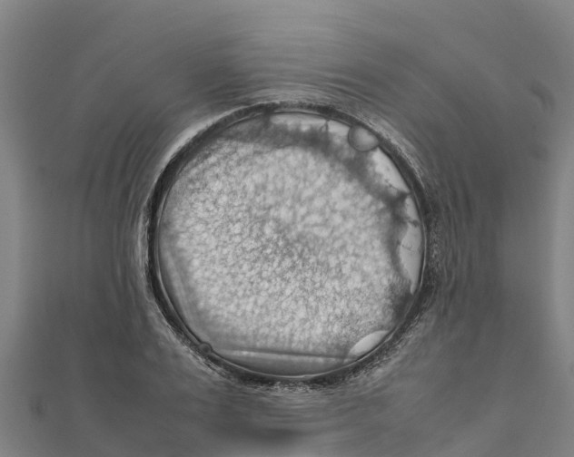 X0000111600983200908131359
