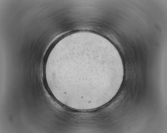 X0000111600984200908131359