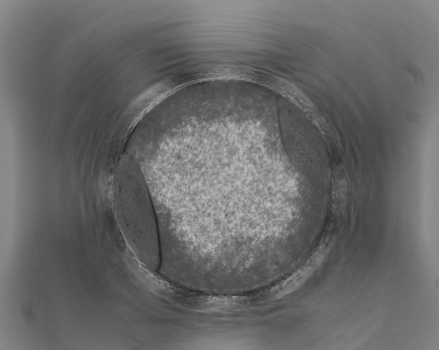 X0000111600985200908131359