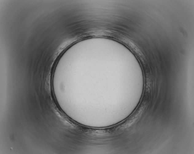 X0000111600986200908131359
