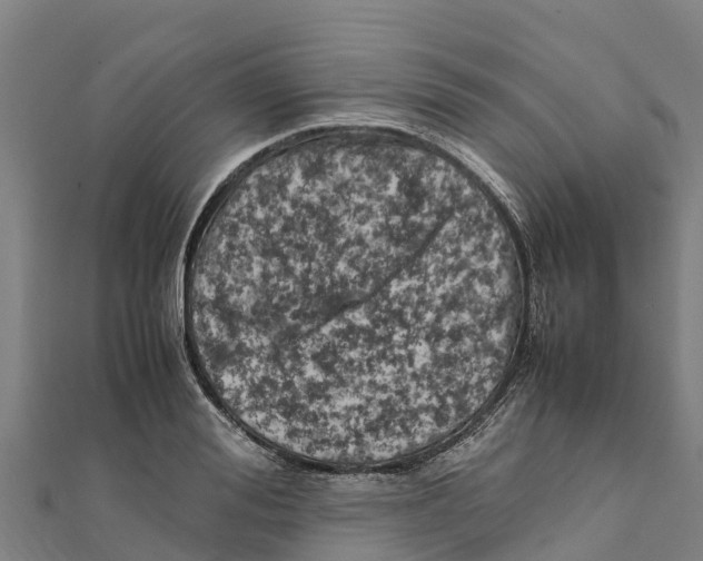 X0000111600988200908131359
