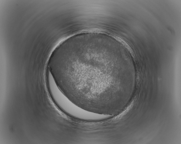 X0000111600989200908131359