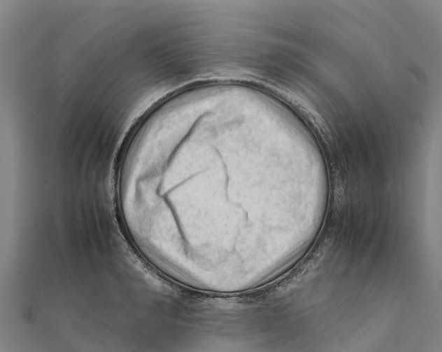 X0000111600990200908131359