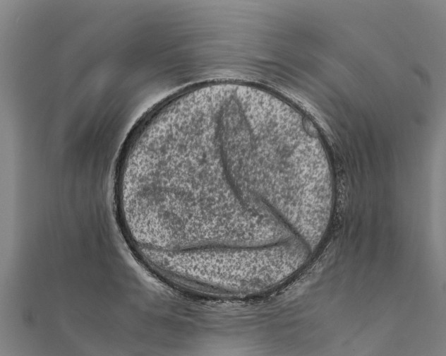X0000111600991200908131359